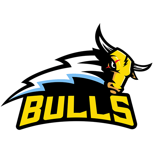 Franklin Bulls badge