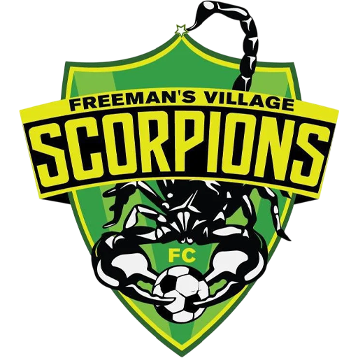 Freeman's Village Scorpions badge