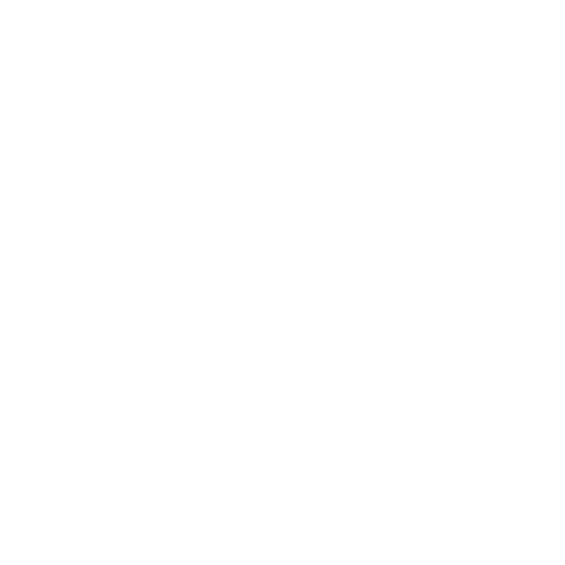 FT 1844 Freiburg badge