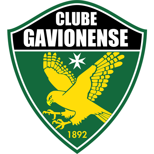 Gavionenses badge