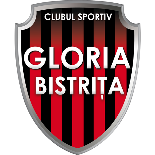 Gloria Bistrița badge