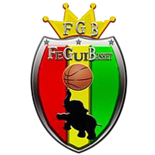 Guinea Basketball badge