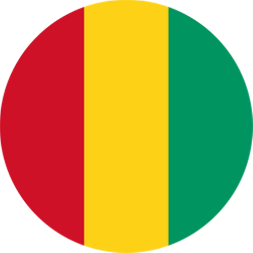 Guinea Handball badge