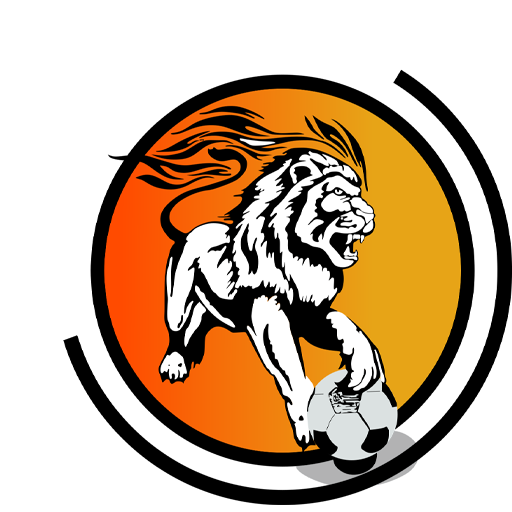 Hapoel Kfar Shalem badge