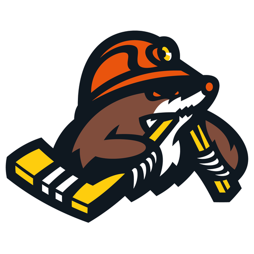 HC Shakhtyor Soligorsk badge HC Shakhtyor Soligorsk badge