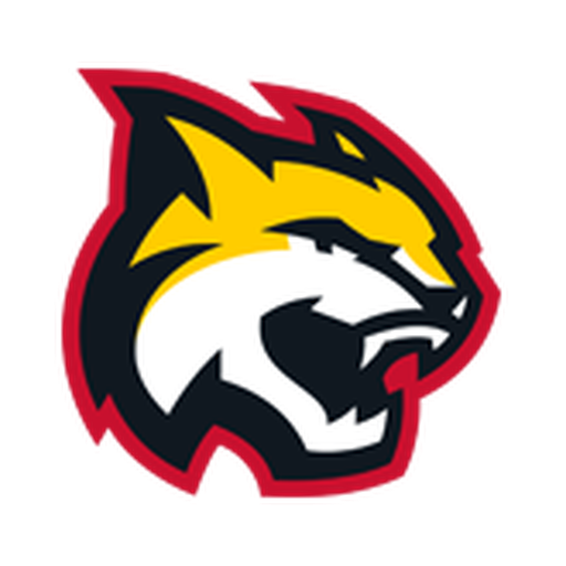 HK Brest badge