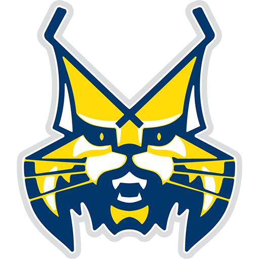 HK Spišská Nová Ves badge