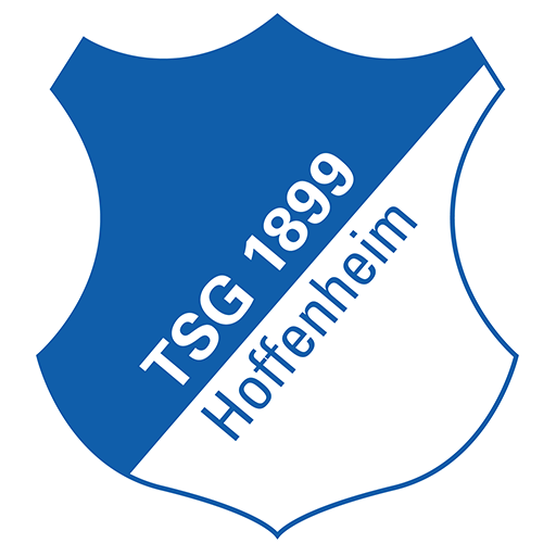 Hoffenheim Youth badge