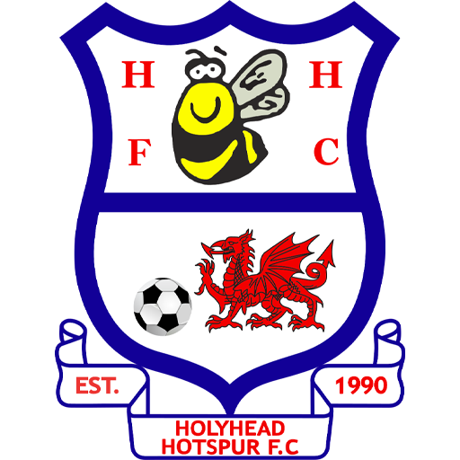 Holyhead Hotspur badge