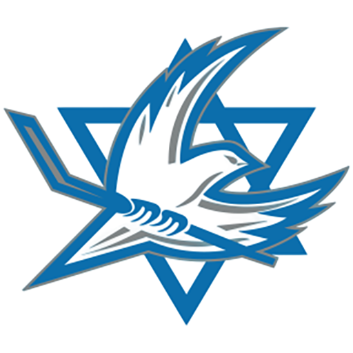 Israel Ice Hockey badge