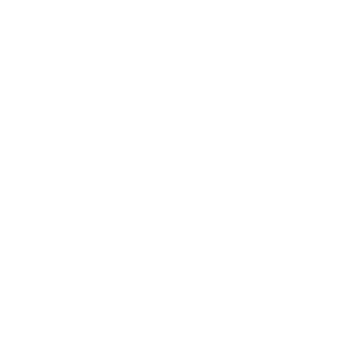 Lincoln Women badge