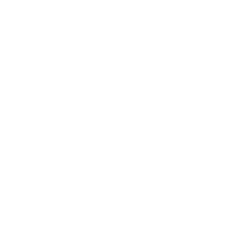 Lyon-Villeurbanne badge