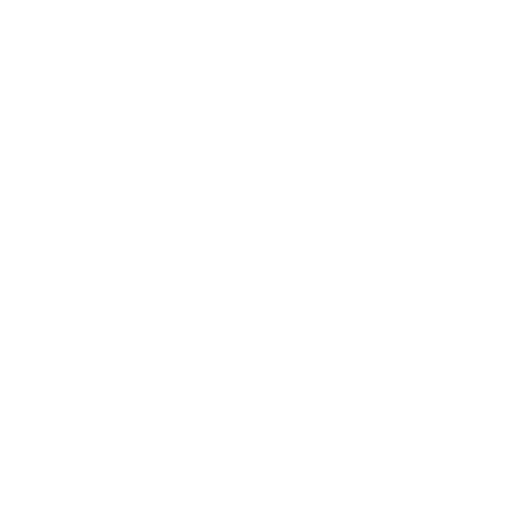 Lyonso Basket badge