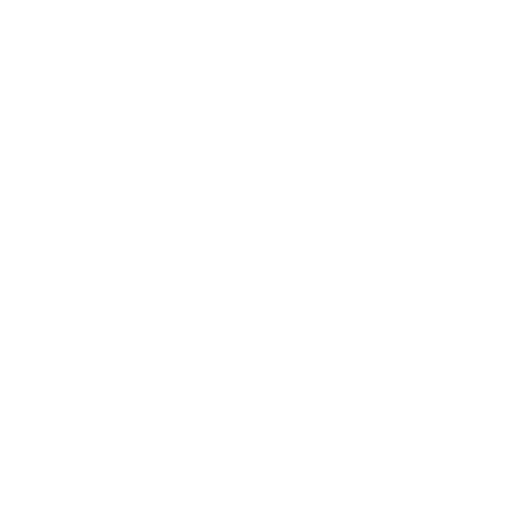 Manawatu Jets badge