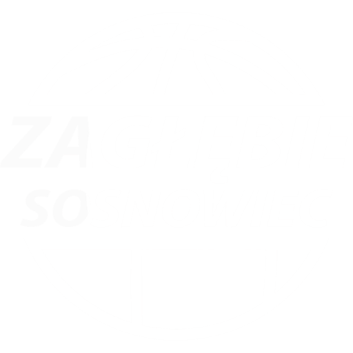 MB Zagłębie Sosnowiec Women badge