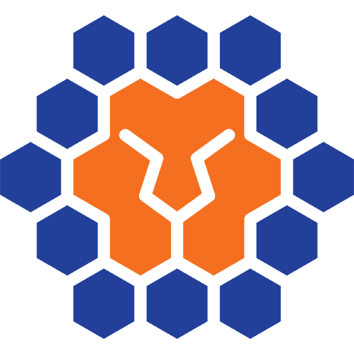 Melbourne City badge