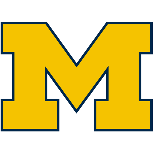 Michigan badge