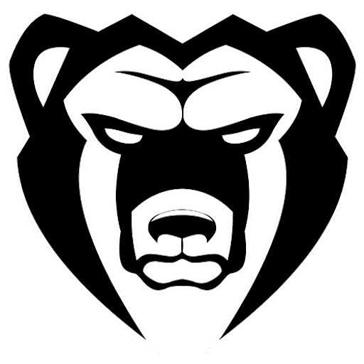 Molot Perm badge