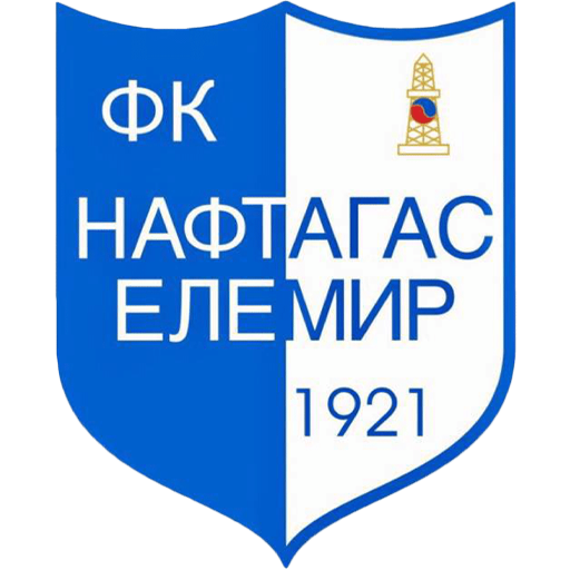 Naftagas Elemir badge