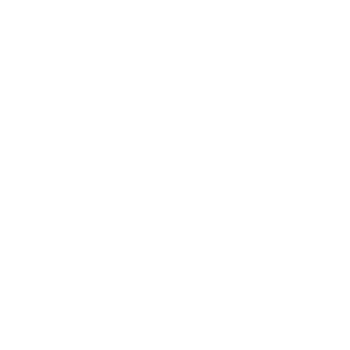 New Zealand Cricket badge