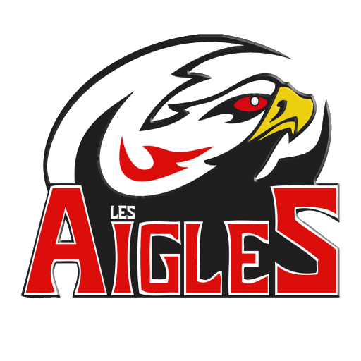 Nice Aigles badge
