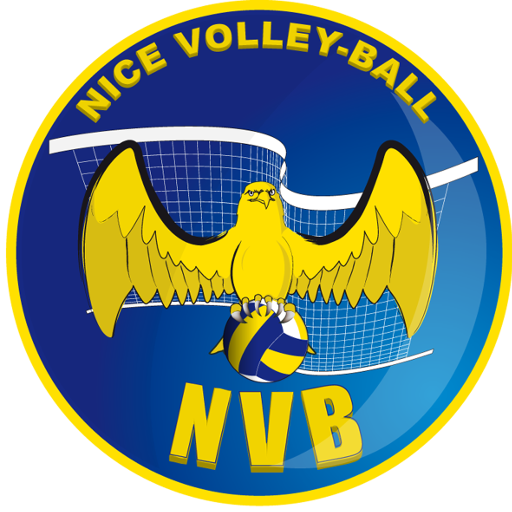 Nice Volley-Ball badge