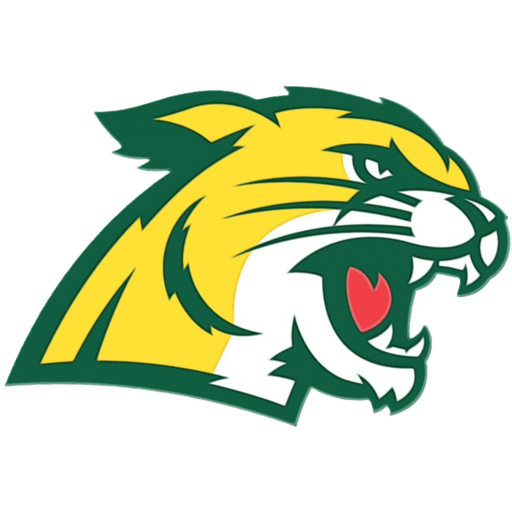 Northern Michigan badge