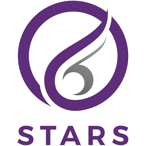 Northern Stars badge