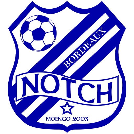 Notch badge