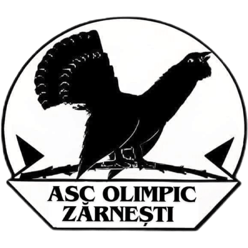 Olimpic Zărnești badge