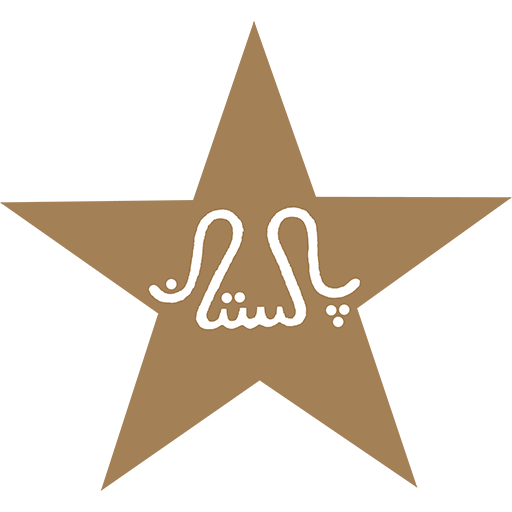 Pakistan Cricket badge
