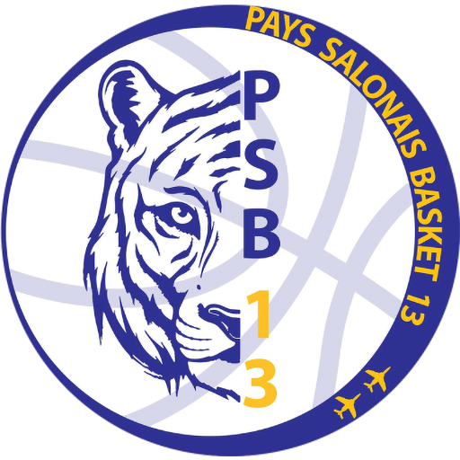 Pays Salonais Basket 13 badge