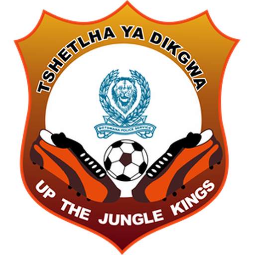 Police XI badge