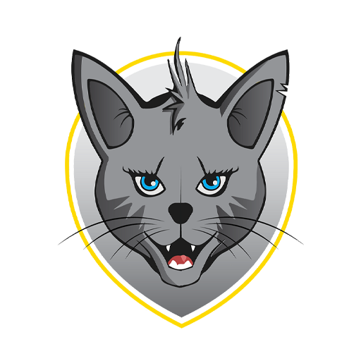 Radomlje Women badge