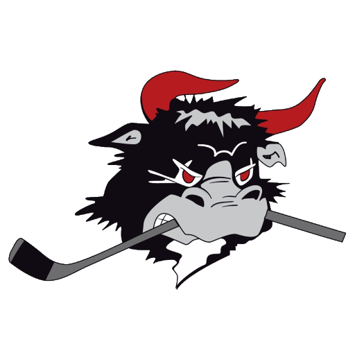 Rødovre Mighty Bulls badge