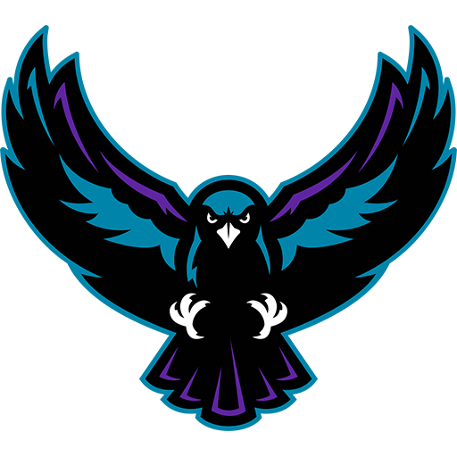 Rochester Knighthawks badge