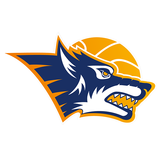 Rostock Seawolves badge
