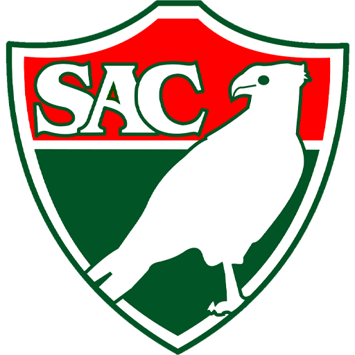 Salgueiro badge