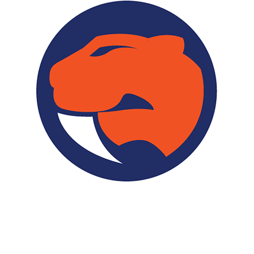 Sandringham Sabres badge