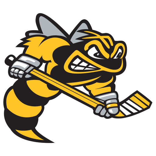 Sarnia Sting badge