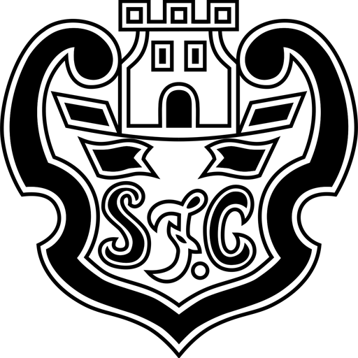 Silves badge