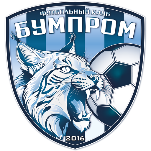 Slonim-2017 badge