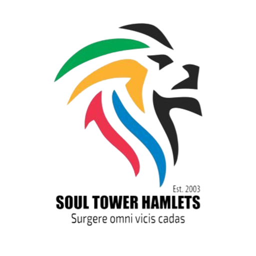 Soul Tower Hamlets badge