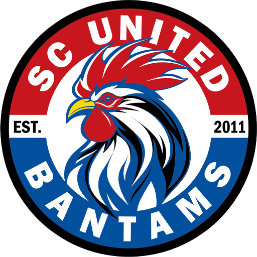 South Carolina United badge