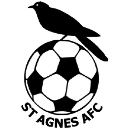 St Agnes Women badge