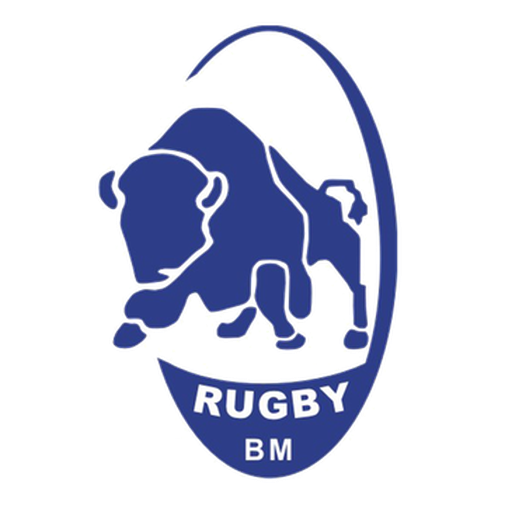 Știința Baia Mare badge