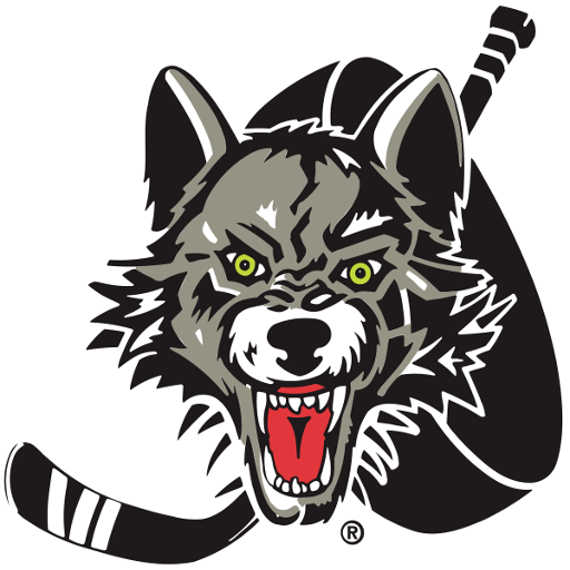 Texas Stars badge