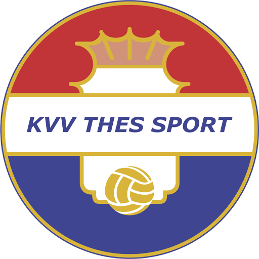 Thes Sport badge