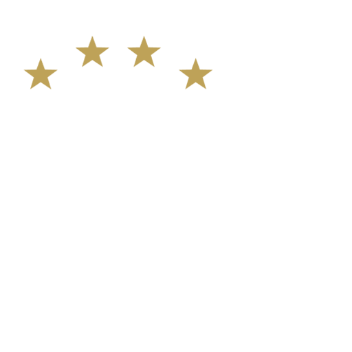 THW Kiel badge