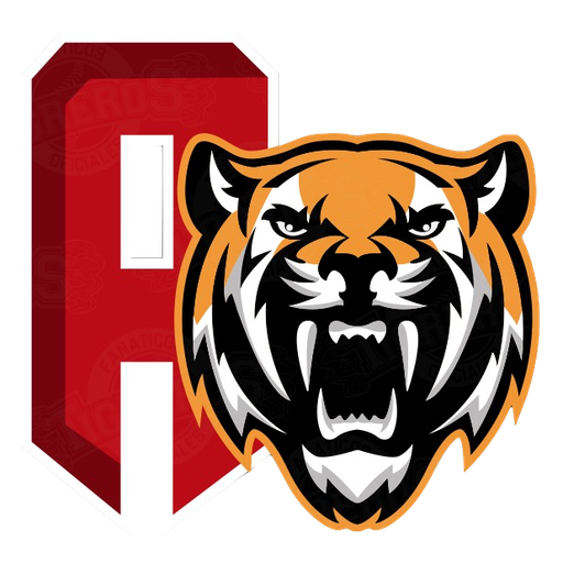 Tigres de Aragua badge